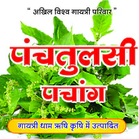 Tulsi Panchang (तुलसी पंचांग ) - Master