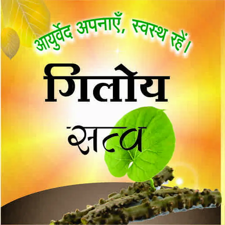 Giloy satav (गिलोय सत्व) - Master