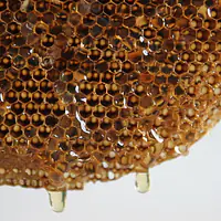 shahad Honey ( शहद) - Master